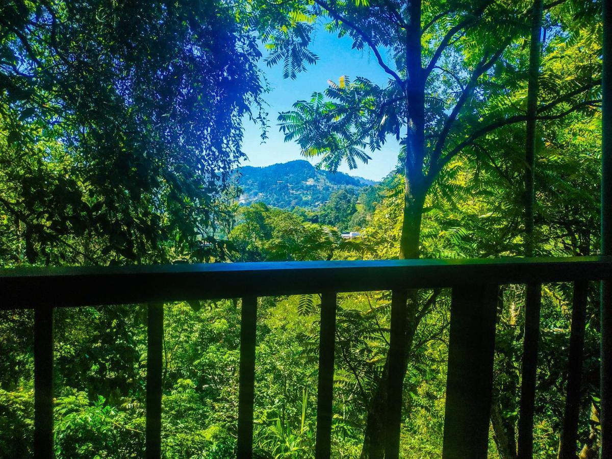 Samadhi Nature Resort Елла Екстер'єр фото